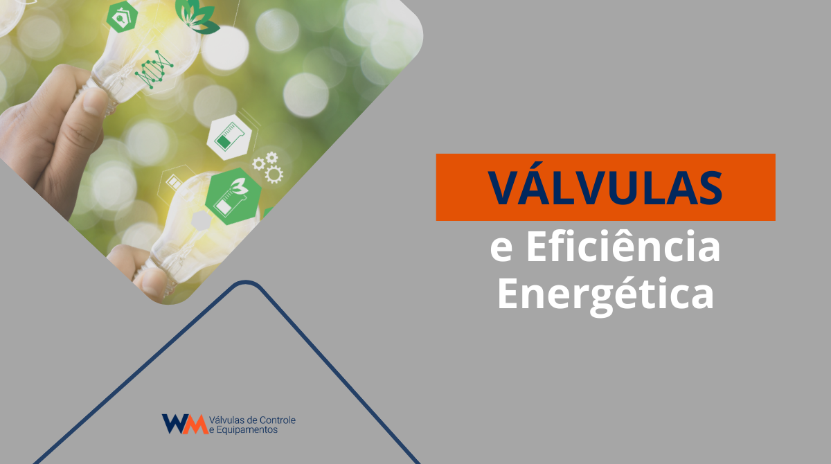 VavulasEficienciaEnergetica FevS4