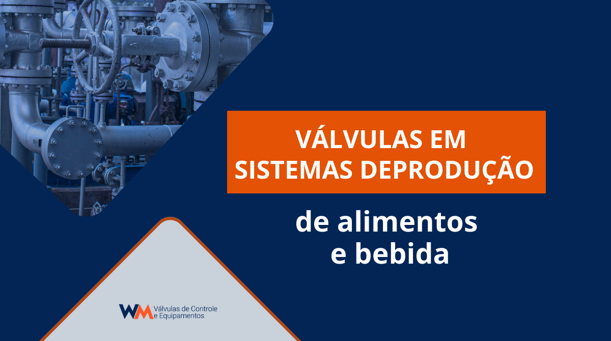 FotosBlogWM Jul2024 WM valvulassistemadeproducao